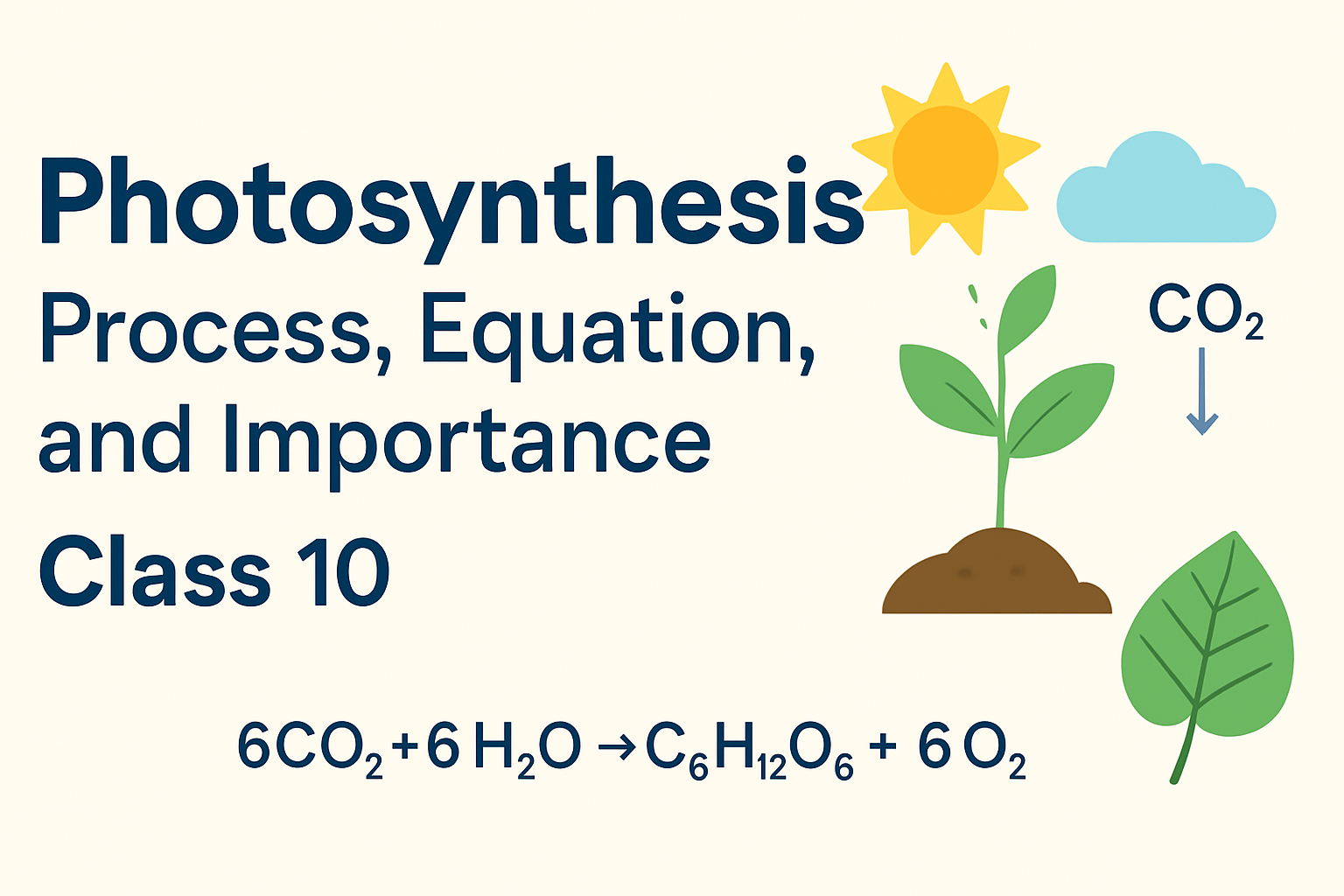 Photosynthesis Process Equation and Importance