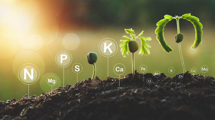 NEET MCQs Respiration in Plants
