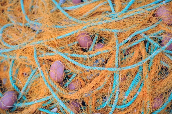 Class 8 Science Ch 3 Synthetic Fibres and Plastics