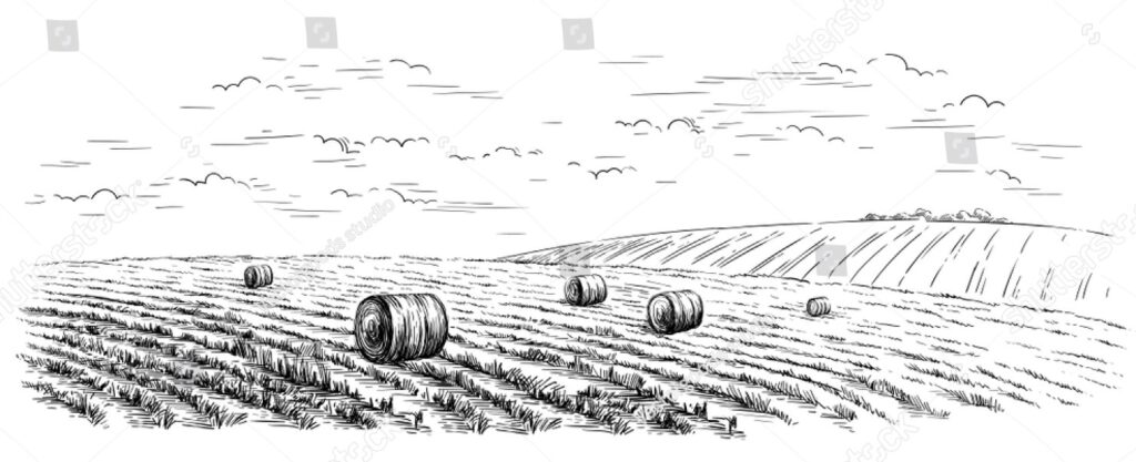Class 8 Science Ch1 Crop Production Oxford Book Answers