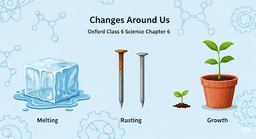 Class 6 Science Chapter 6 Changes around us Oxford