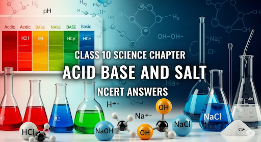 Class 10 Science Chapter 2 Acid Bases and Salt NCERT Answers