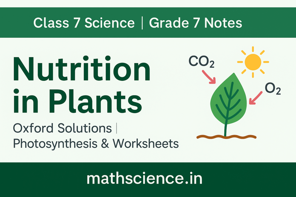 Class 7 Science Ch 1 Nutrition in Plants | Oxford Solutions with Grade 7 notes showing photosynthesis process in leaves with sunlight, CO₂, water, and oxygen