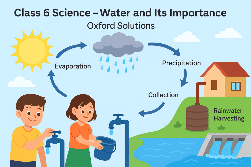 Class 6 Science Water and Its Importance Oxford
