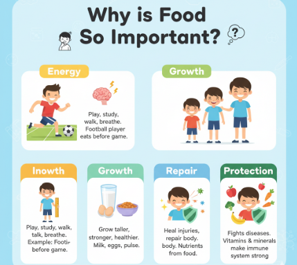 Why Do We Need Food?