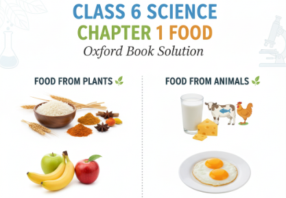Class 6 Science Chapter 1 Food Oxford Book Solution