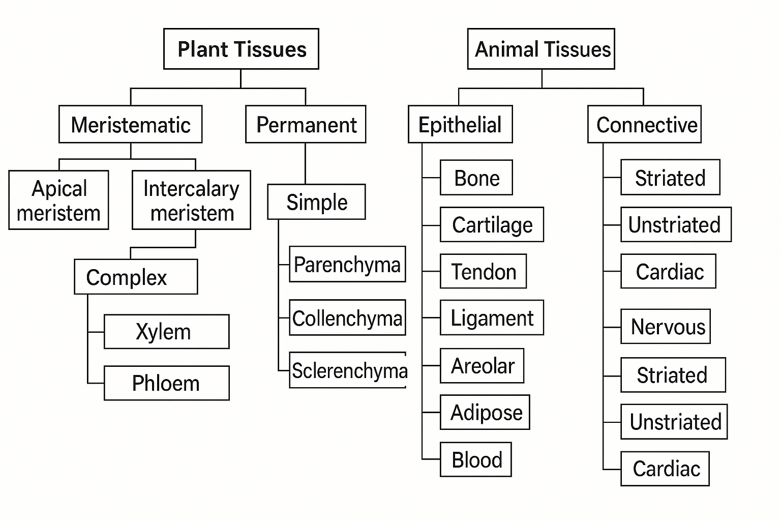 class 9 science ch 6 tissues