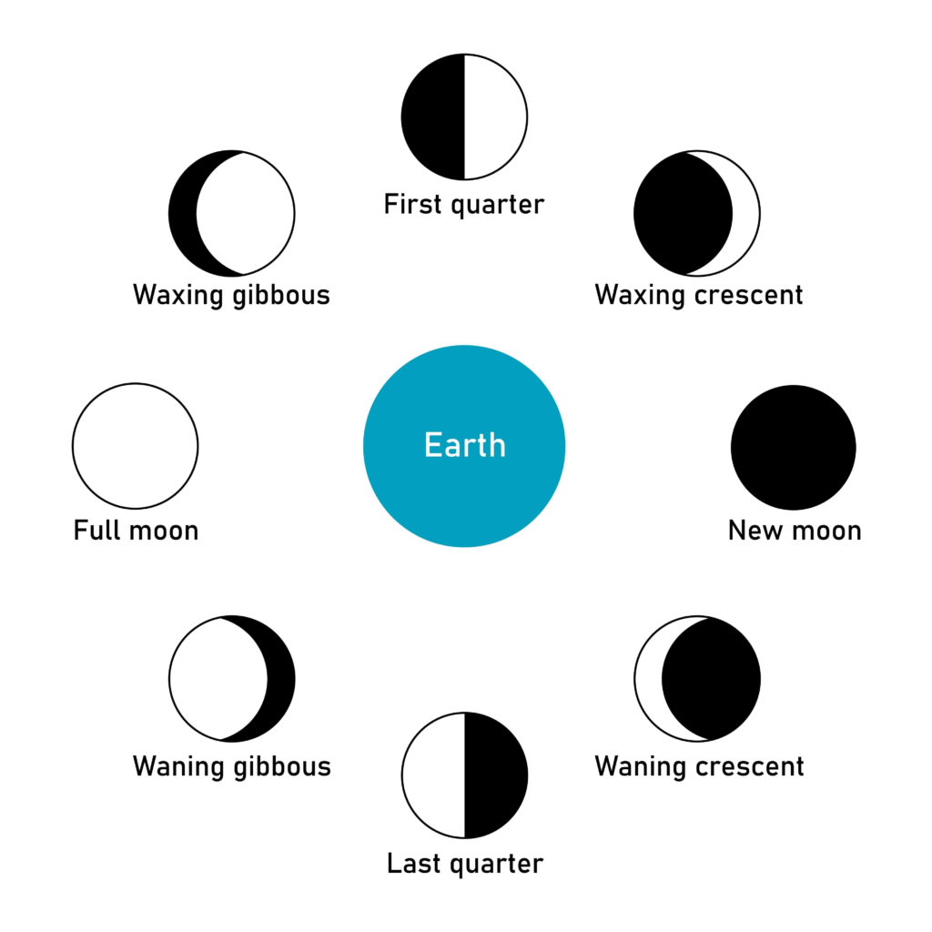 What are 'Phases of the Moon'? Draw a rough diagram of any two phases and name them.