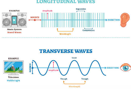 NCERT Solutions for Class 11 Physics Waves