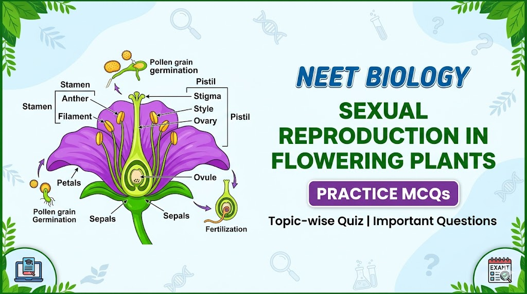 NEET Biology 500 Questions Free PDF