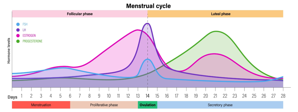 NEET Biology MCQs Human Reproduction